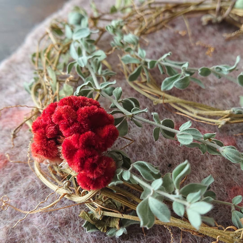 ゴーヤの蔓のリース 秋の装い リース まのなかみ 通販 10539625