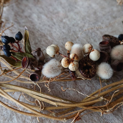 ゴーヤのリース【ゴーヤ】ドライフラワー 【公式通販】