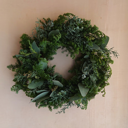 ゴーヤのリース【ゴーヤ】ドライフラワー ゴーヤの蔓のリース 秋の装い リース まのなかみ 通販 10539625