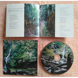 kairava kirtan CD vol.3*キールタンCD 瞑想 唄ヨガ マントラ(代理) 2枚目の画像