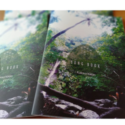 kairava kirtan CD vol.3+song book*キールタンCD+本 瞑想 唄ヨガ マントラ(代理) 4枚目の画像