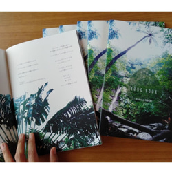 kairava kirtan CD vol.3+song book*キールタンCD+本 瞑想 唄ヨガ マントラ(代理) 5枚目の画像