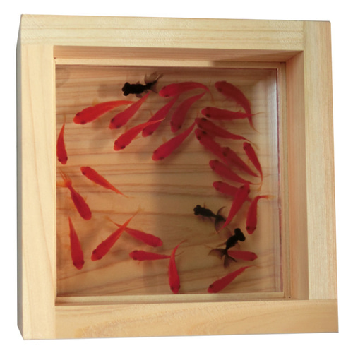 新品未使用 金魚のアクリル画 0_bfd91d34965f8e392ddb5c7af051