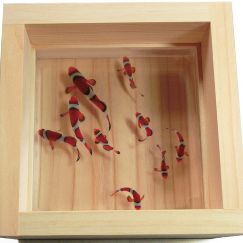 金魚デザインの木製　アクリルアート 金魚 アクリル樹脂×天然木インテリア 金魚アート 祭 こだわりの純日本