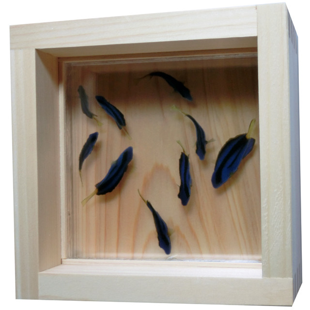 アクリル樹脂×天然木インテリア「悠/HARUKA」 ファインディングドリー 「Made in Japan」