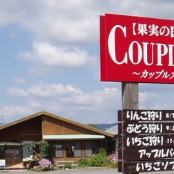 熊本阿蘇　農薬不使用あきばえりんご　8〜11玉 6000円→特価5500円‼︎【台風でも落ちなかったりんご】受験生に‼︎ 8枚目の画像