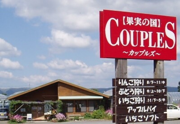 熊本阿蘇　農薬不使用あきばえりんご　8〜11玉 6000円→特価5500円‼︎【台風でも落ちなかったりんご】受験生に‼︎ 8枚目の画像