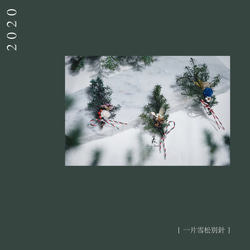 | 叢 Cong Studio | 聖誕系列 一片雪松別針 (No.1) / 交換禮物 / 聖誕節 / 乾燥花 第2張的照片