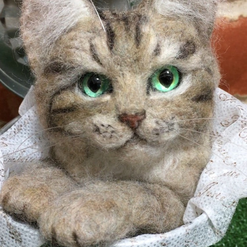 ◇ ぴょこ ニャン ◇バケツ☆*°羊毛フェルト猫 キジトラ☆*。 羊毛 