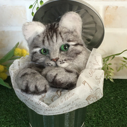 羊毛フェルト 猫 Bucket cat アメショー 2枚目の画像