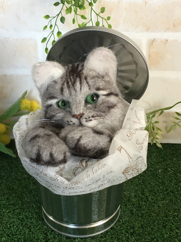 羊毛フェルト 猫 Bucket cat アメショー 2枚目の画像