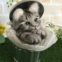 羊毛フェルト 猫 Bucket cat アメショー 6枚目の画像
