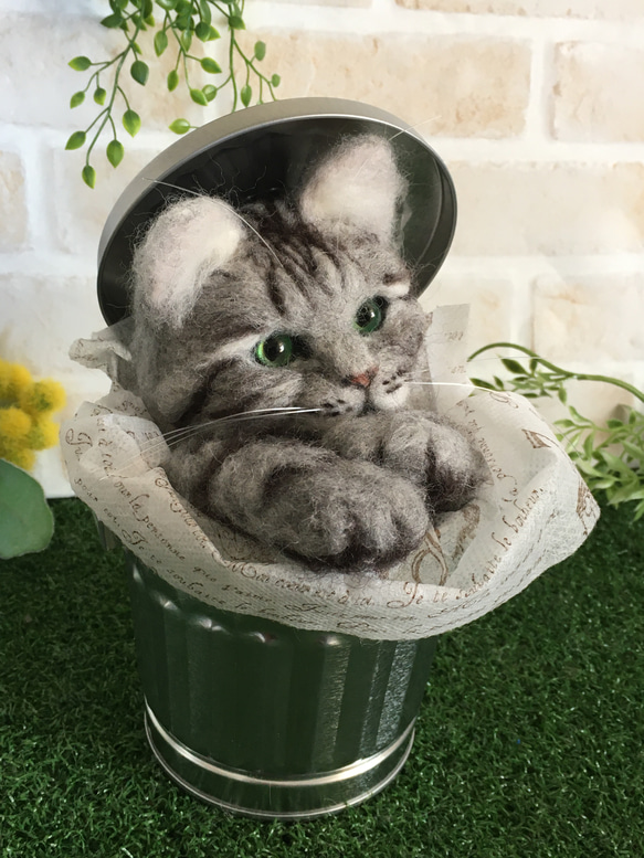 羊毛フェルト 猫 Bucket cat アメショー 6枚目の画像