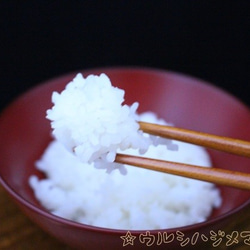 ★再販★【23cm】拭き漆のお箸(無地)／[23cm]CHOPSTICKS w/ FUKI URUSHI(PLAIN) 3枚目の画像