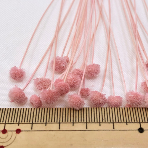 アマレリーノ ＊ピンク フロールエバー 送料無料＆4点毎に1点おまけ  