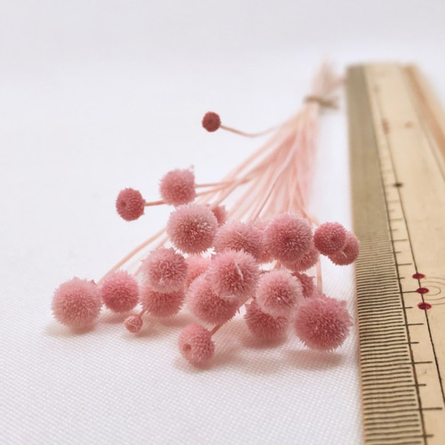 アマレリーノ ＊ピンク フロールエバー 送料無料＆4点毎に1点おまけ  