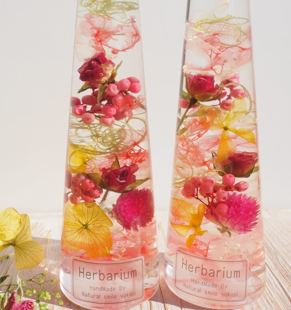 3本セット Fresh Spring Pink Herbarium 3枚目の画像