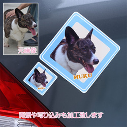 オーダーメイド♡愛犬・愛猫 ペットの写真入り ステッカー 車にも！ 2枚目の画像