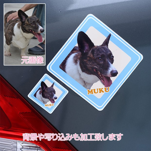 オーダーメイド♡愛犬・愛猫 ペットの写真入り ステッカー 車にも 