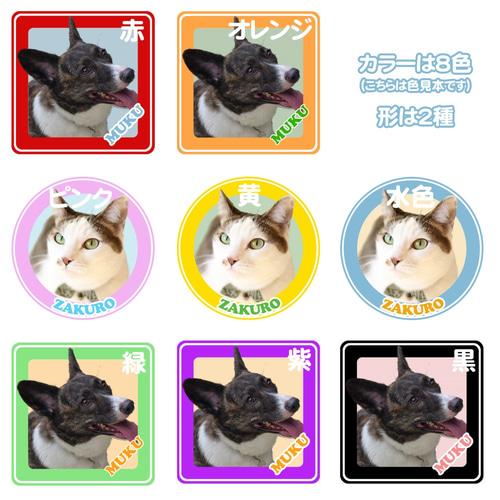 オーダーメイド♡愛犬・愛猫 ペットの写真入り ステッカー 車にも 