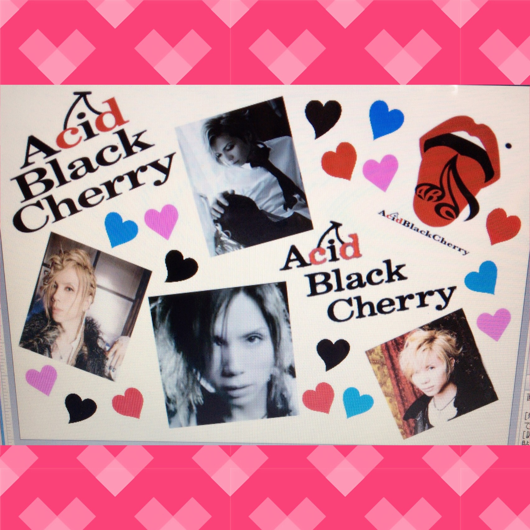 Acid Black Cherry アームウォーマー 波打ち yasu Acid Black Cherry アームウォーマー 波打ち yasu