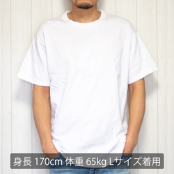 [Tシャツ] A longing for the sky spreading infinite 2枚目の画像