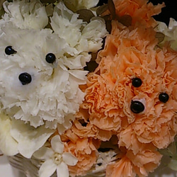 トイプー&テリア☆lovely dogsプリザーブドフラワー 2枚目の画像