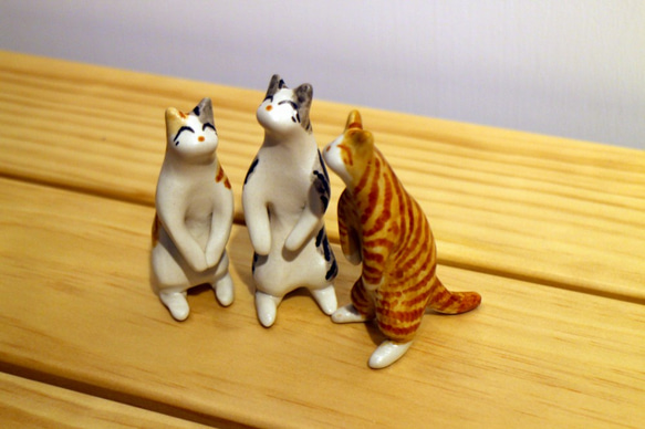 三隻貓貓(虎斑貓、橘斑貓、雙斑紋貓) 第3張的照片