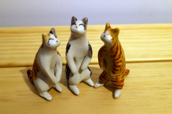 三隻貓貓(虎斑貓、橘斑貓、雙斑紋貓) 第4張的照片