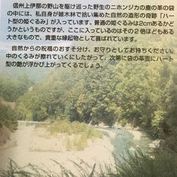 ハート型の姫グルミのお守り【鹿革製護り袋】 5枚目の画像