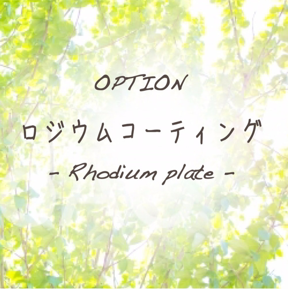 ロジウムコーティングオプション 1枚目の画像