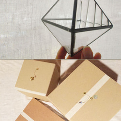 ステンドグラスのテラリウム：ひし形 5枚目の画像