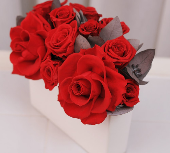 PHOENIX プリザーブドフラワー ローズ 赤 PHOENIX プリザーブドフラワー ローズ 赤 PHOENIX プリザーブド