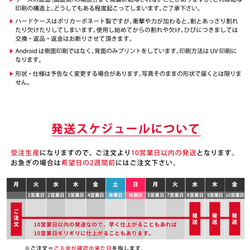 iPhoneSE第二代4.7英寸手機殼Raijin日式圖案 第6張的照片