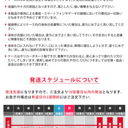 閃光保護套智能手機保護套閃光iphone11 / XR / XS / XS Max / 8 第9張的照片