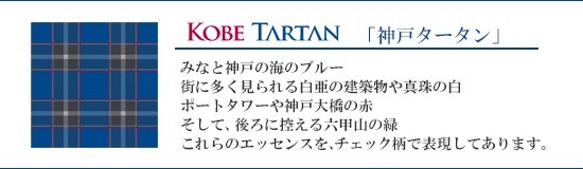 カードケース　蛇腹式　神戸タータン 6枚目の画像