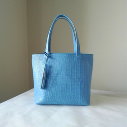 日常手提袋（L尺寸）☆彡淺藍色·訂購量 第2張的照片