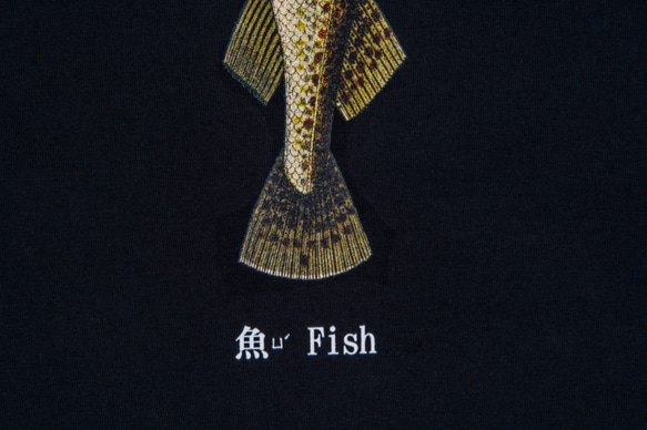 短袖T恤：魚 Fish（黑色/白色T可選） 第3張的照片