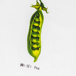 短袖T恤：豌豆 Pea（黑色/白色T可選） 第2張的照片