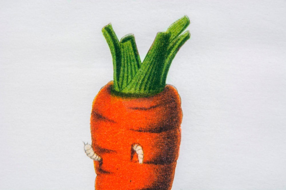 短袖T恤：紅蘿蔔 Carrot 有小蟲版（黑色/白色T可選） 第4張的照片