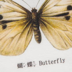 短袖T恤：蝴蝶 Butterfly（黑色/白色T可選） 第2張的照片