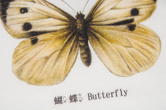 短袖T恤：蝴蝶 Butterfly（黑色/白色T可選） 第2張的照片