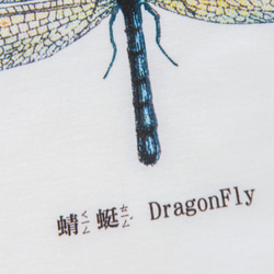 短袖T恤：蜻蜓 DragonFly（黑色/白色T可選） 第4張的照片