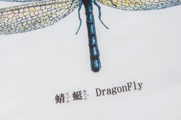 短袖T恤：蜻蜓 DragonFly（黑色/白色T可選） 第4張的照片