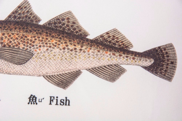 抱枕：魚 Fish（雙面抱枕） 第3張的照片