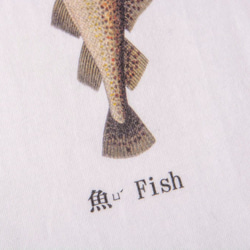 包屁衣：魚 Fish 第3張的照片