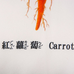 Pillow：紅蘿蔔 Carrot 3枚目の画像