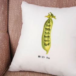 抱枕：豌豆 Pea（雙面抱枕） 第1張的照片