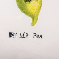 Pillow：豌豆 Pea 2枚目の画像