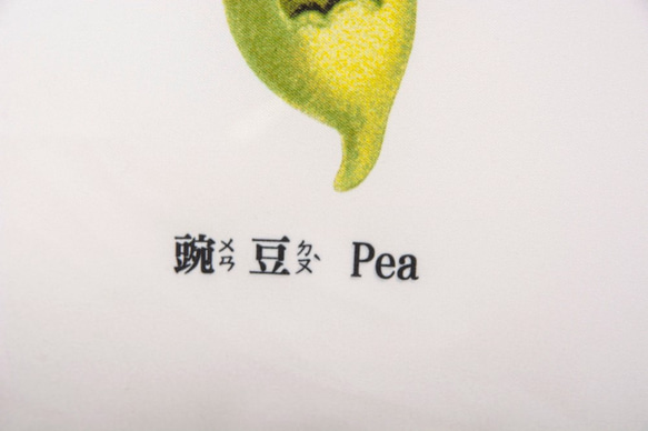 抱枕：豌豆 Pea（雙面抱枕） 第2張的照片